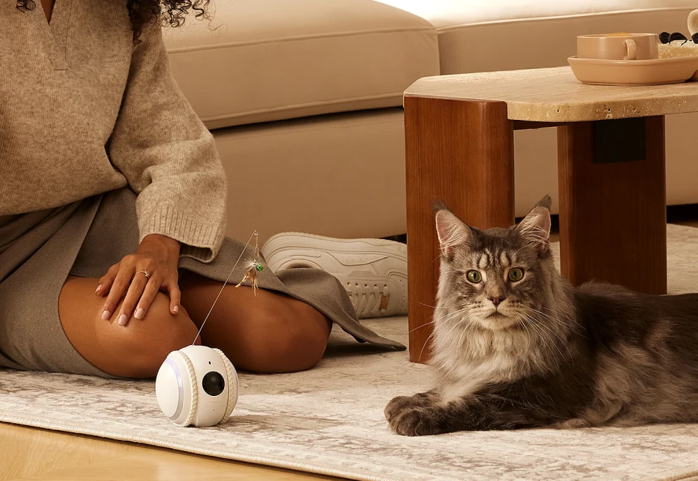 best indoor security camera for pets