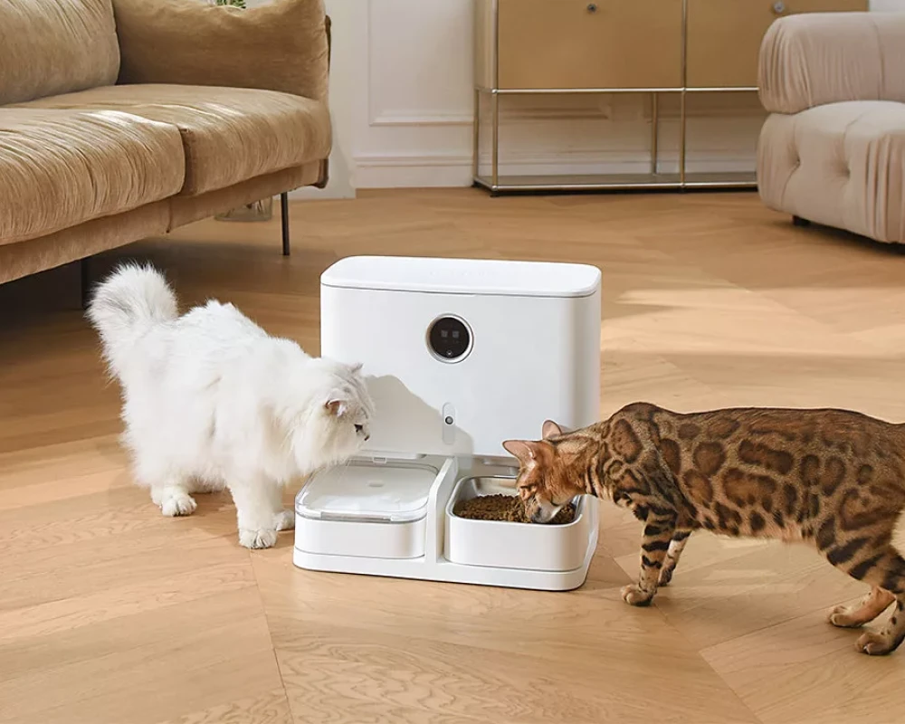 auto pet food dispenser