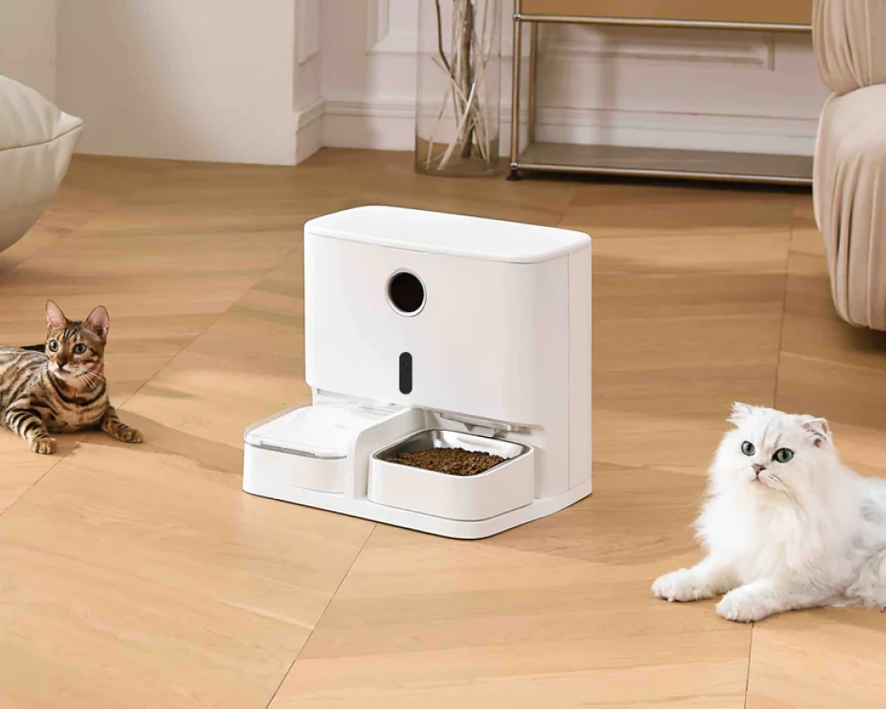 programmable automatic pet feeder